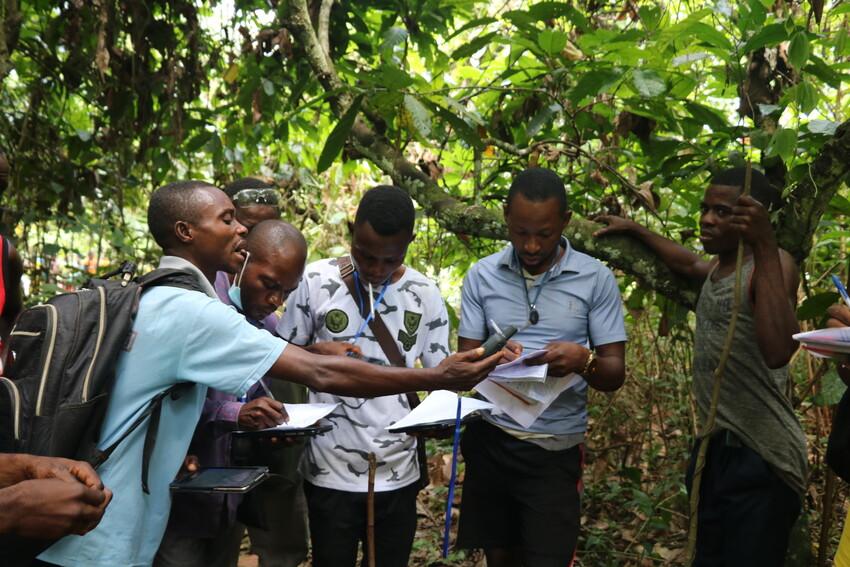 Congolese cacaoproducenten zijn klaar voor een digitale toekomst